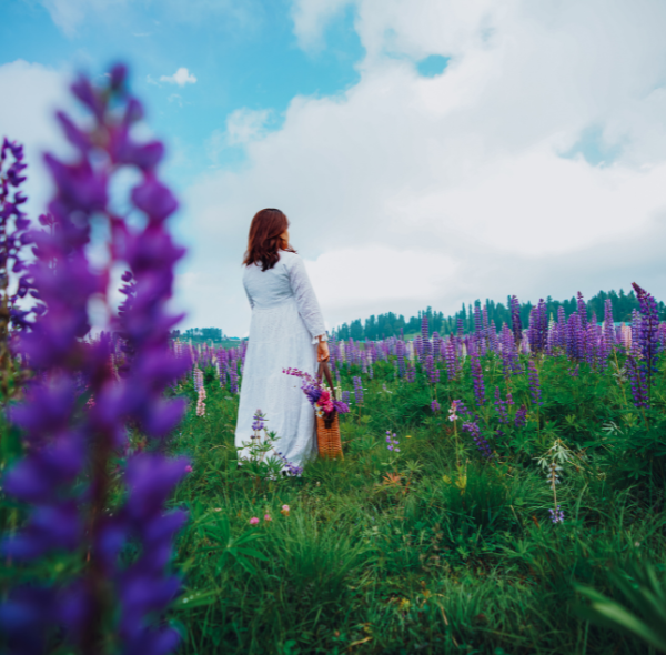 A flower field in Gulmarg with a girl standing in center