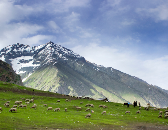 Sonamarg Kashmir