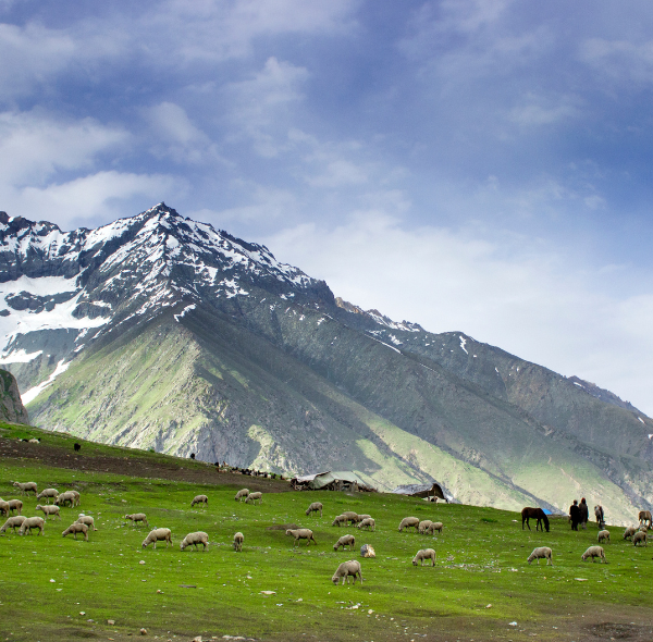 Beautiful Landscape of Sonmarg